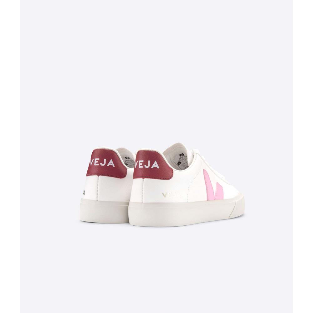 Veja CAMPO CHROMEFREE Low Tops Sneakers Heren White/Pink | BE 193WNB